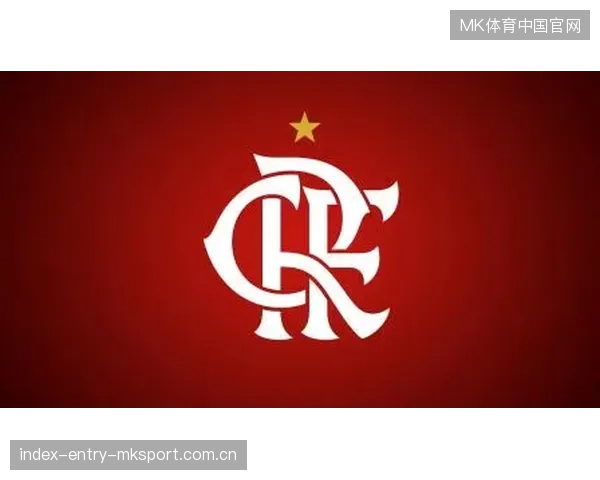 弗拉门戈商学院资源助力俱乐部运营升级：管理能力的跨界突破